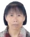 黃細(xì)桔照片