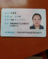 蘭金花照片